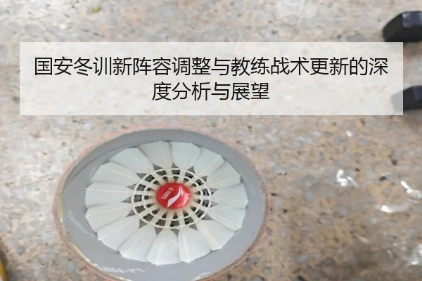 国安冬训新阵容调整与教练战术更新的深度分析与展望 | Shengshi